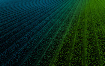 Big Picture Front Cover