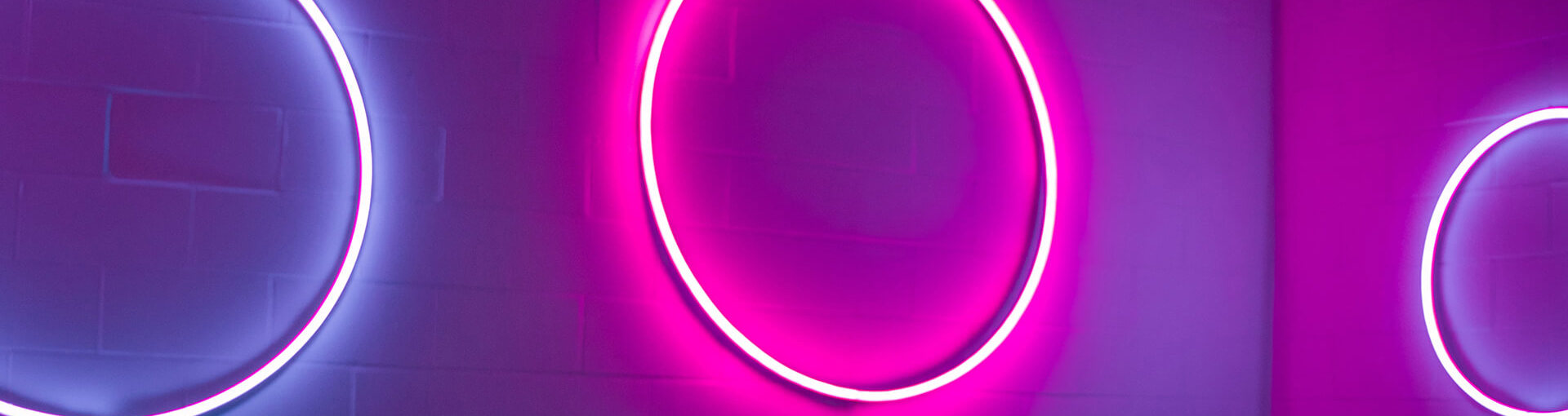 Neon circles on a wall