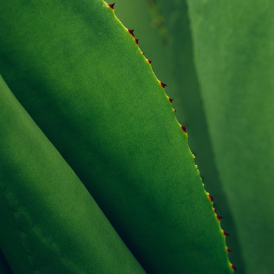 Insights Imagery 0006