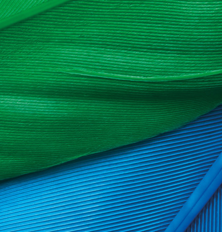 Green and blue fabric