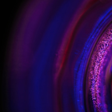 Abstract image of neon purple and pink lines similar to lines of a tree trunk