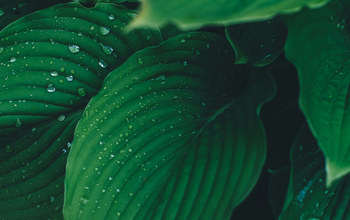 Insights Imagery New 0005 Annie Spratt Vwfiburck8s Unsplash