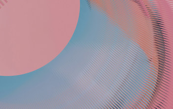 Insights Imagery New 0029 Steve Johnson 8Wklla3khg0 Unsplash