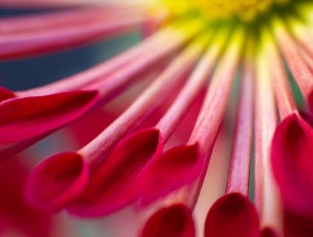 Gettyimages 2202057052 Web Res