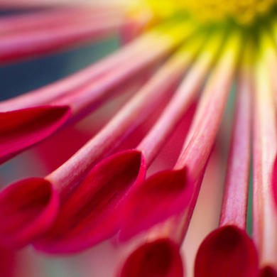 Gettyimages 2202057052 Web Res