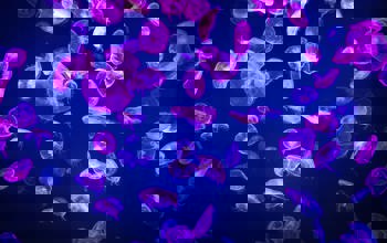 Neon jellyfish floating