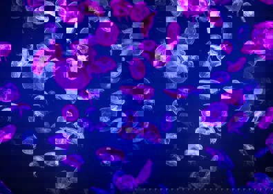 Gettyimages 1327699469