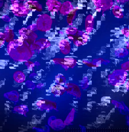 Gettyimages 1327699469