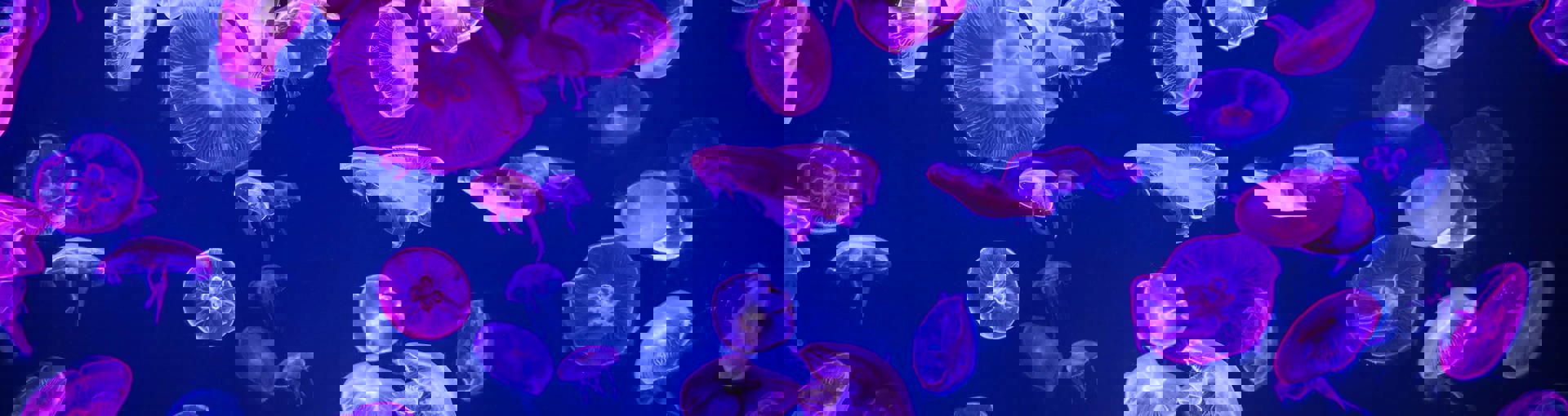 Gettyimages 1327699469