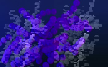 Cdc Ssvswma035g Unsplash