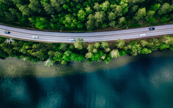 Bridge between a body of blue water and tall green woods