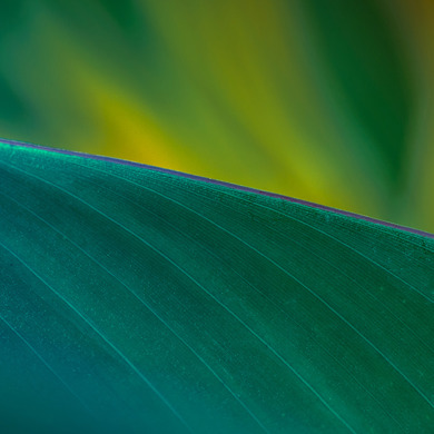 Insights Imagery 0005