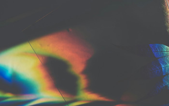 Insights Imagery 0033