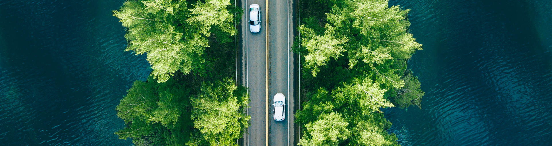 Aerial image of a bridge with trees either side and over a body of water with a few cars on the bridge