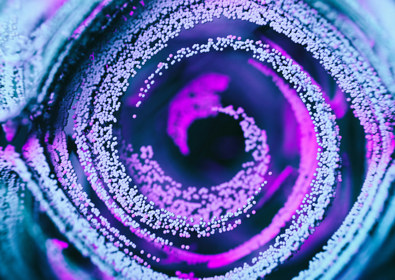 Abstract close up of a stamen with neon pollen