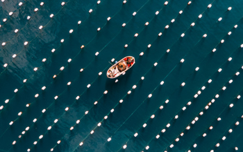 Birds eye view of boat in the water near fishing nets
