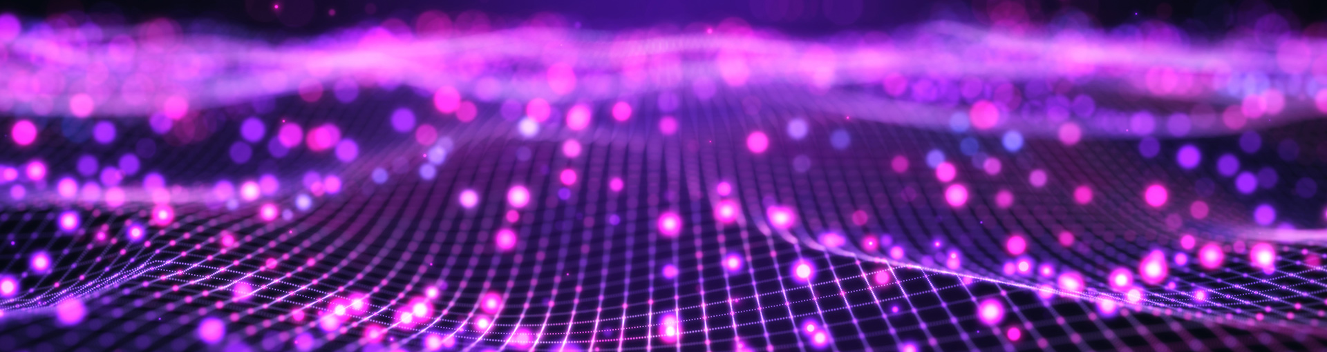 Neon Dots On Neon Netting