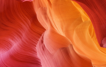 Insights Imagery 0026