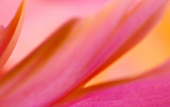 Insights Imagery New 0013 Gettyimages 2154959549