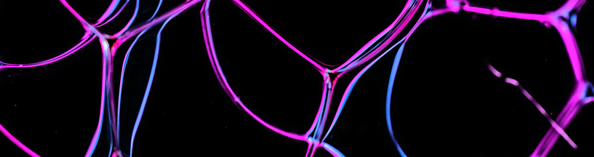 Close up of bubbles with neon highlights