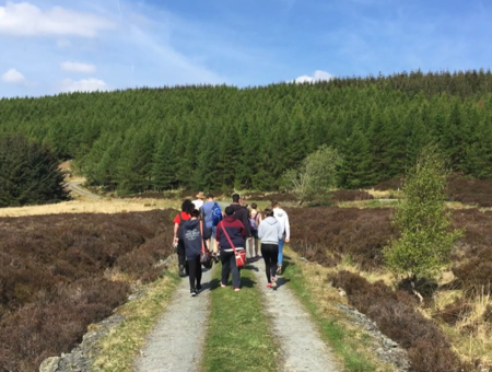 Image of young people walking toward a wood along a grassy path